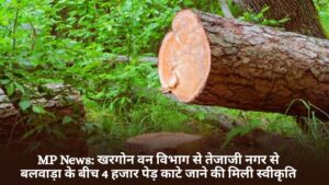 MP News: खरगोन वन विभाग से तेजाजी नगर से बलवाड़ा के बीच 4 हजार पेड़ काटे जाने की मिली स्वीकृति
