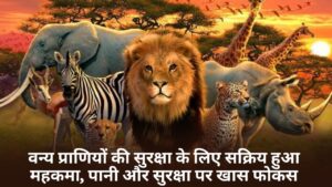 Singrauli News: वन्य प्राणियों की सुरक्षा के लिए सक्रिय हुआ महकमा, पानी और सुरक्षा पर खास फोकस