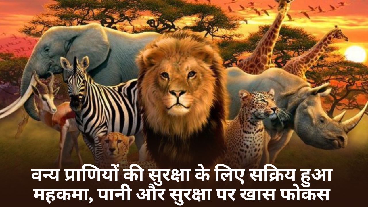 Singrauli Bargawan News